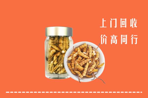 收购行情：清远回收冬虫夏草